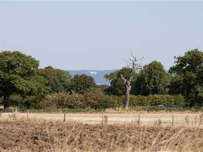 Picture 22